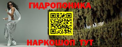 не бодяженный Гатчина