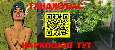 метадон Гагарин